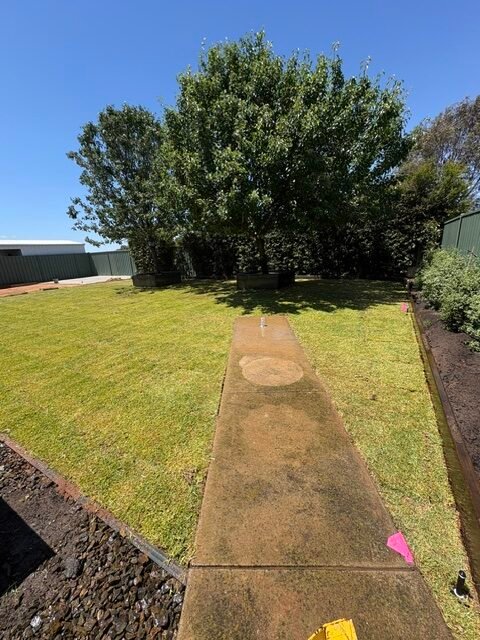 Completed Kialla backyard with fresh turf and defined landscaped garden areas.