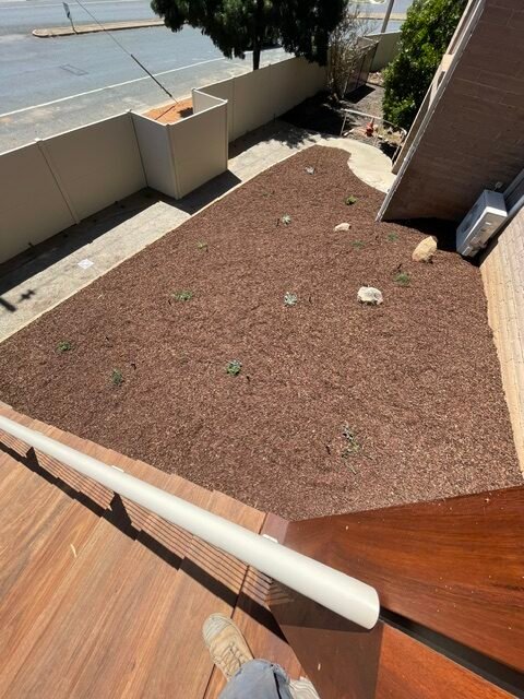Renewed garden bed with fresh mulch, new plants and spray irrigation in Shepparton.
