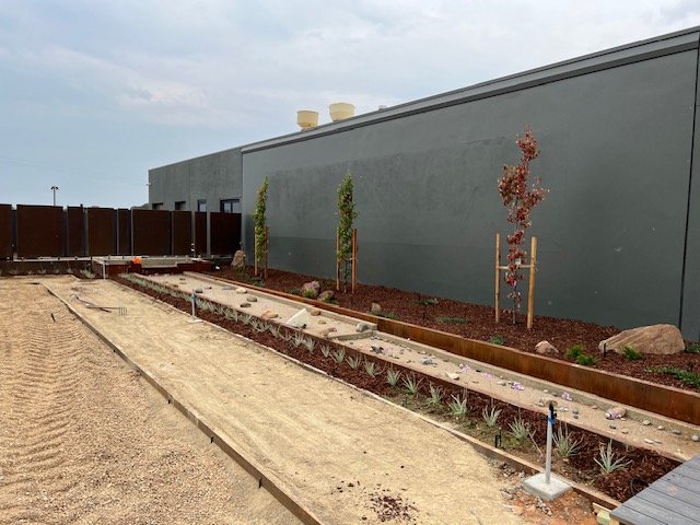 Planting and mulching underway beside the new linear water feature.
