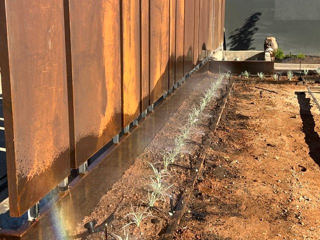New garden sprays being tested for coverage along the planted screen.
