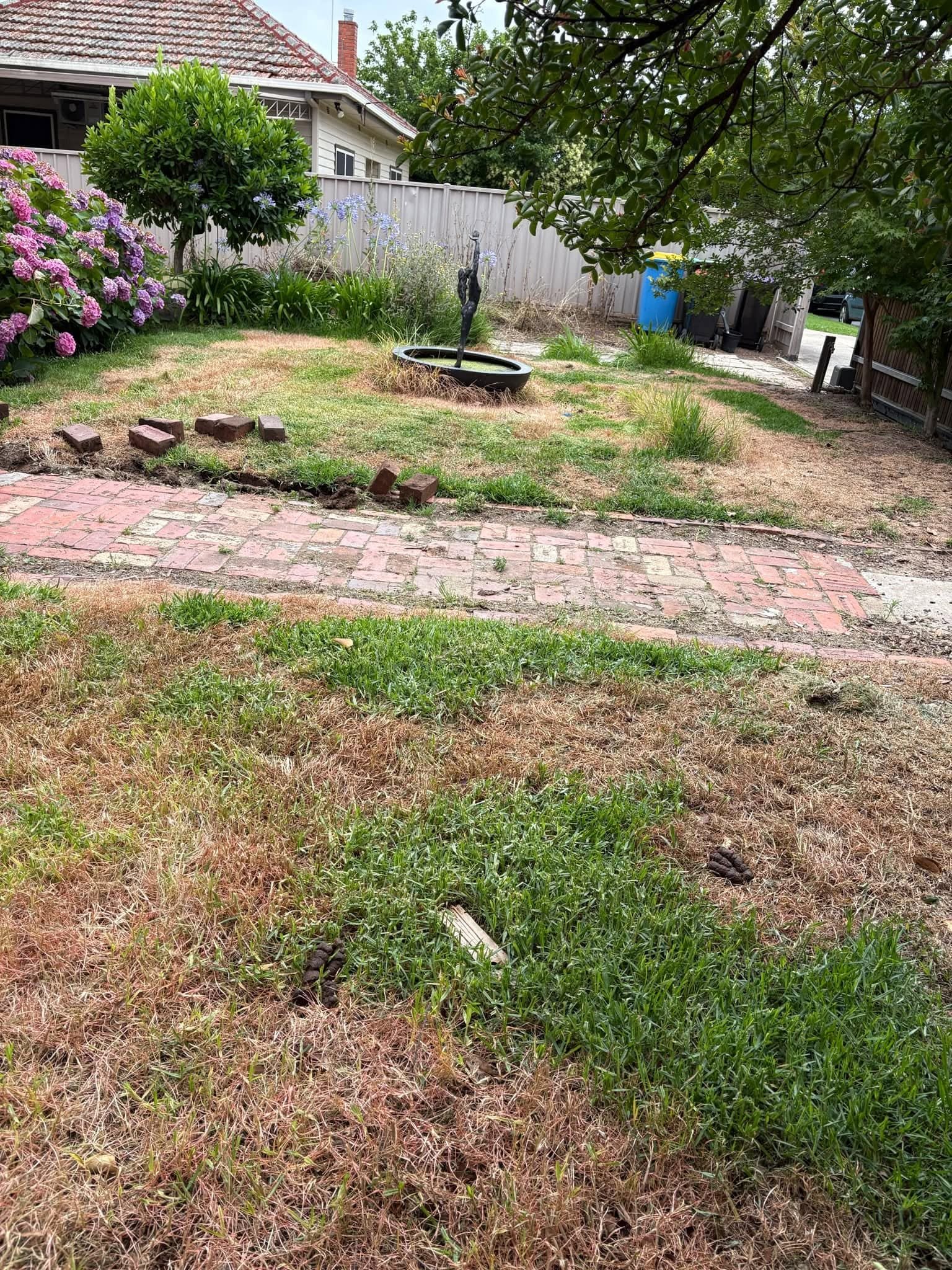 New herringbone brick path crossing the existing front lawn during construction.