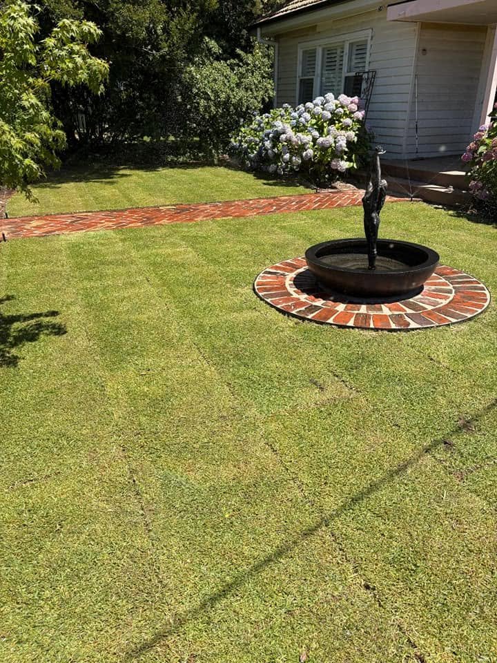 Fresh turf surrounding a feature tree with circular brick edging.